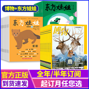 8岁幼儿 博物 少儿阅读成长益智早教课外阅读 2024年全年订阅 东方娃娃智力版 杂志组合 东方娃娃幼儿大科学