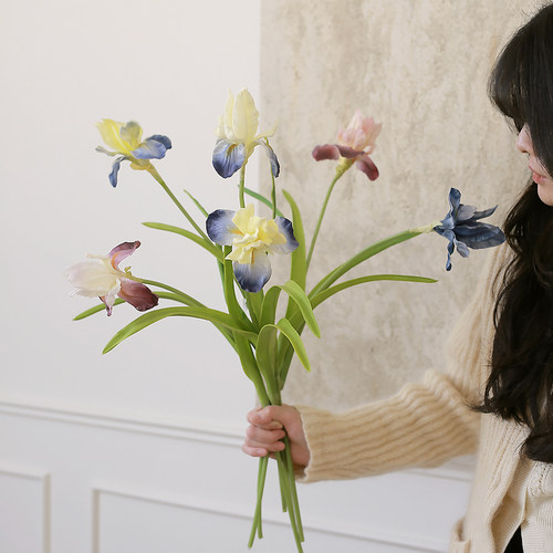 梦幻爱丽丝鸢尾，优质手感PU