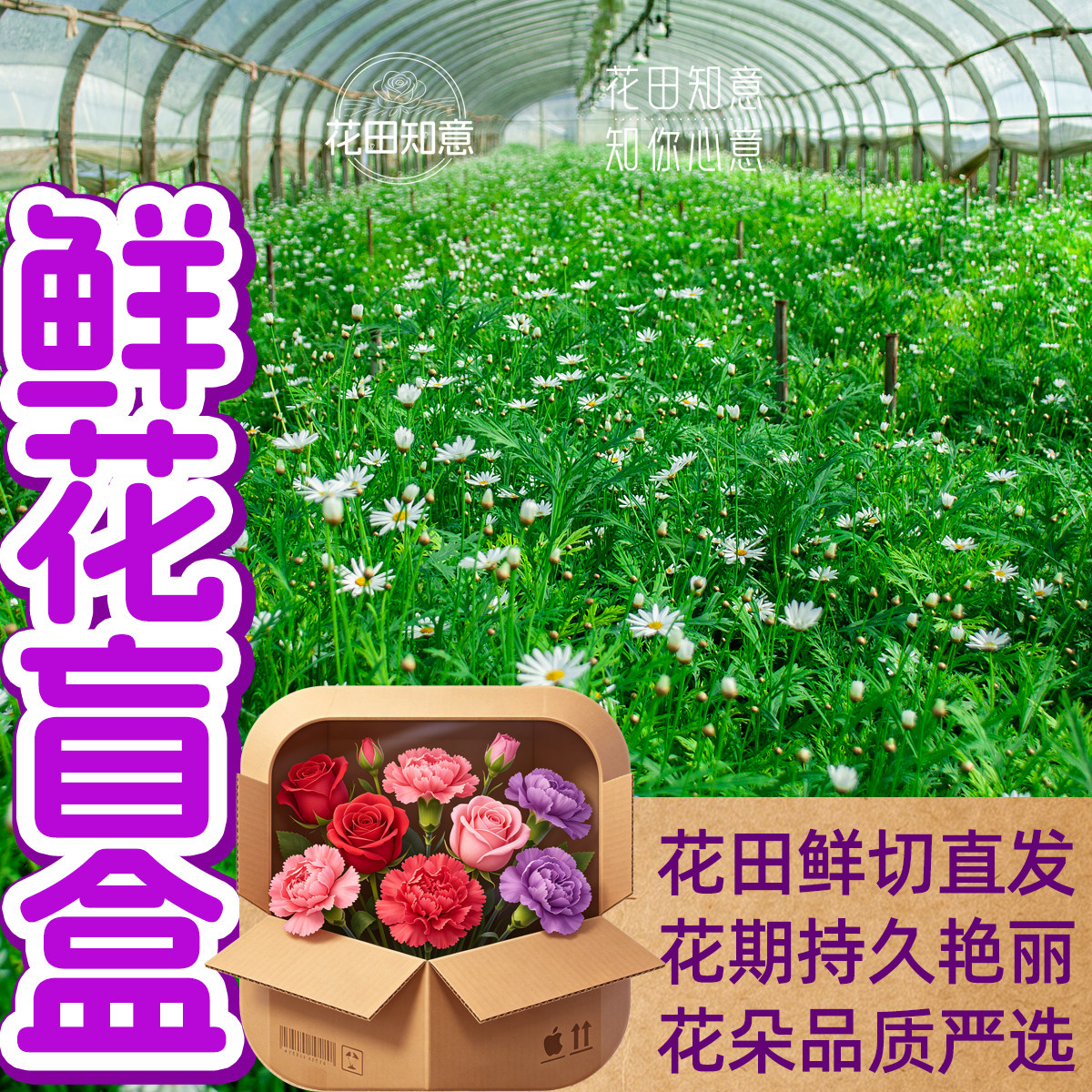 云南鲜花直发玫瑰康乃馨包邮盲盒