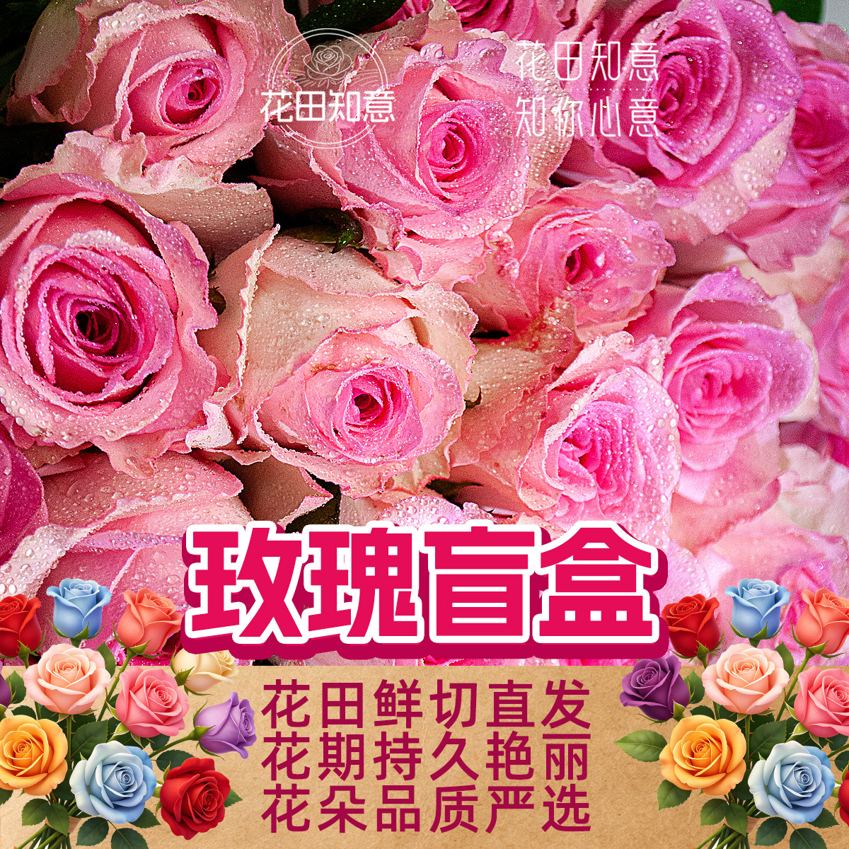 云南鲜花直发包邮直发玫瑰康乃馨