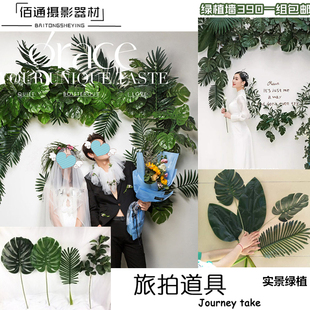 旅拍摄影仿真植物创意婚纱拍照实景绿植道具橄榄叶子芭蕉叶龟背叶