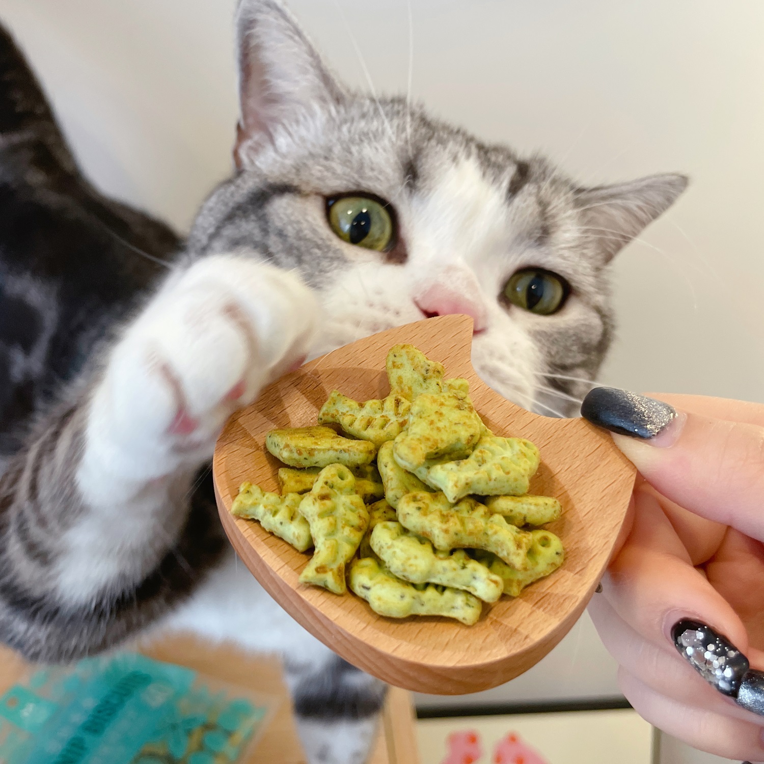 美尼蜗零食磨牙洁齿小饼干