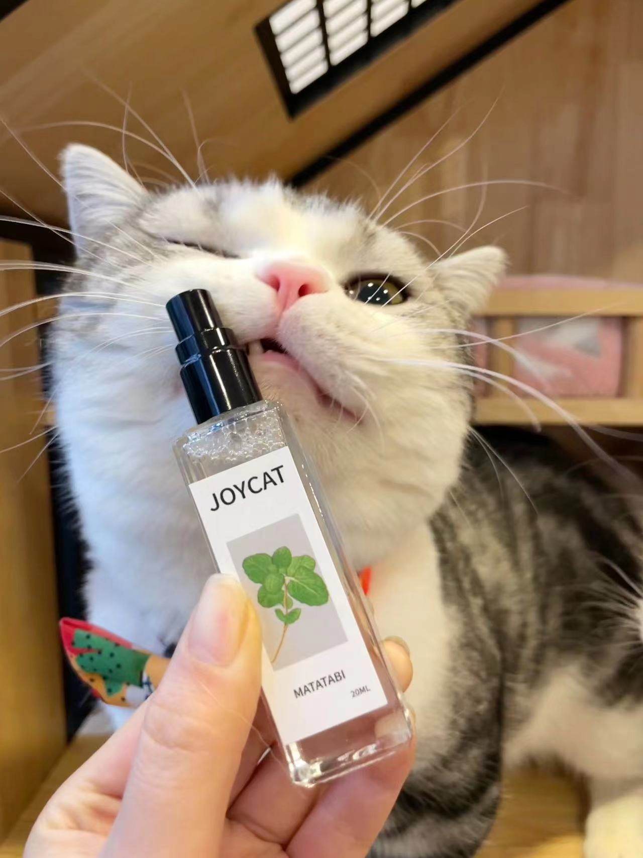 美尼蜗 猫咪快乐水 虫瘿果提取液逗猫用品猫薄荷水,宠物/宠物食品及用品,猫薄荷/木天蓼,淘宝优惠券,粉丝福利购,淘宝优惠卷