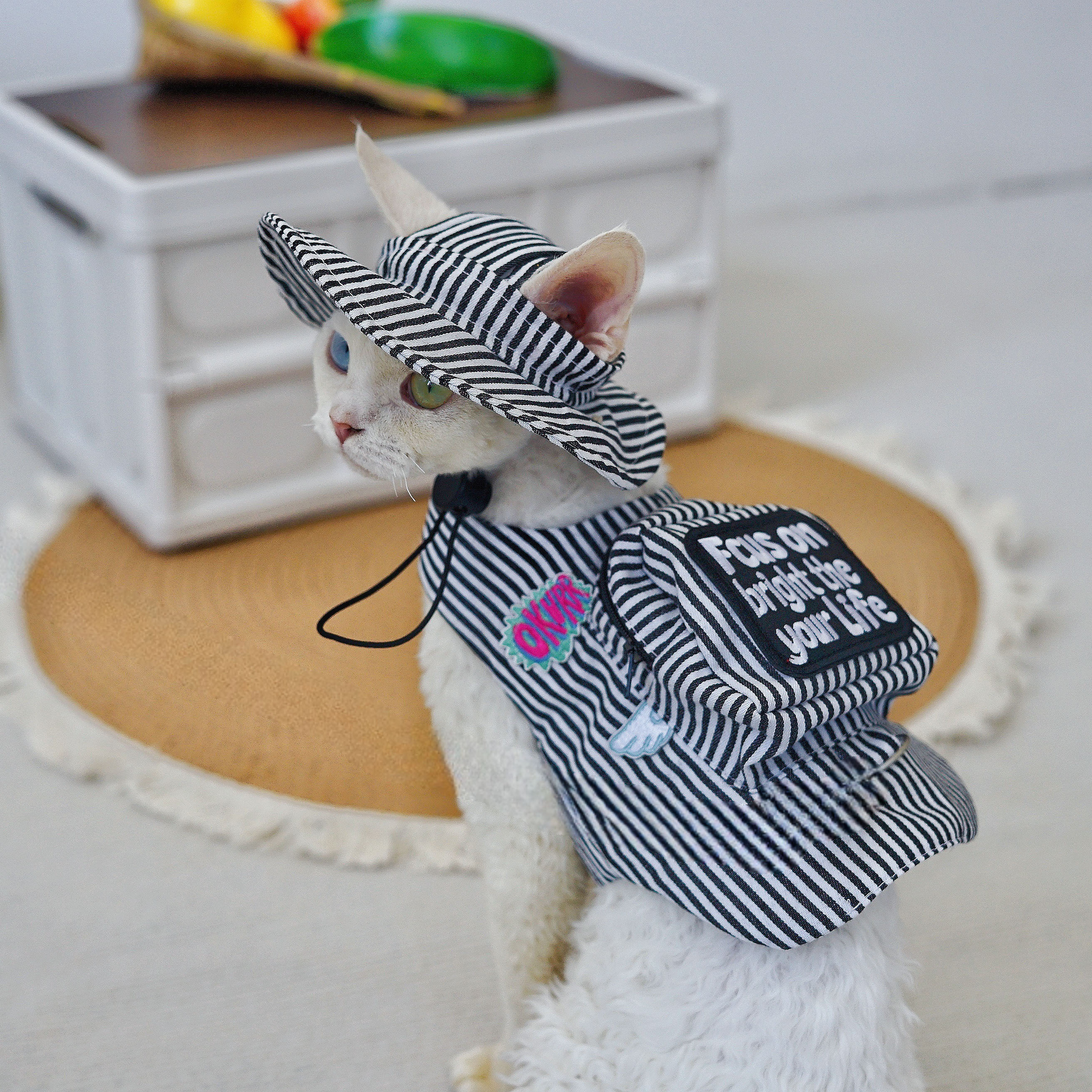 宠物外出不勒脖子可调节胸背牵引