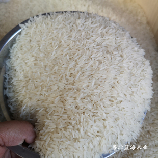 粤北山区米中贵族象牙香粘米韶关南雄农家大米南方长粒丝苗米5kg