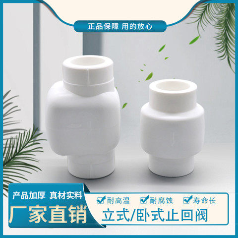 4分20止回阀立式6分25热熔止逆阀