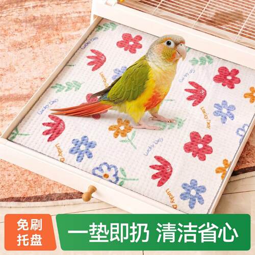 宠物鹦鹉专用吸水隔尿垫纸加厚