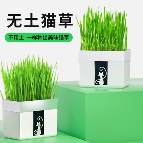 懒人猫草种植袋猫咪专用小麦苗