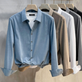 抗皱免烫秋冬休闲衬衣商务高级感寸衫 2025春秋新款 男长袖 条纹衬衫