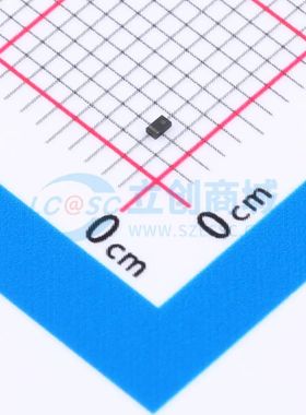 ESD217B102ELE6327XTMA1 TSLP-2 静电和浪涌保护(TVS/ESD) 217B10