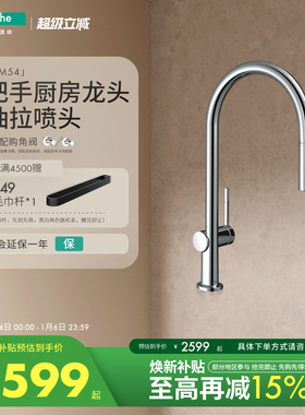 汉斯格雅hansgrohe 达丽丝 M54单把手厨房龙头铜可抽拉旋转式龙头