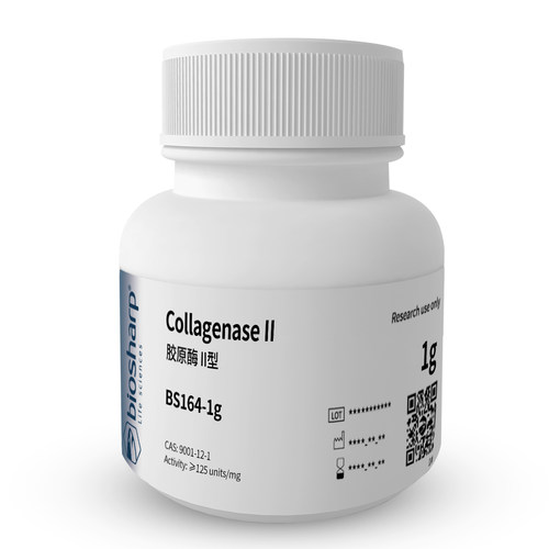 白鲨胶原酶II型CollagenaseII