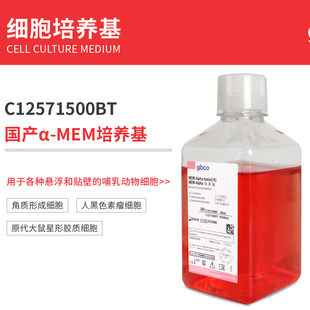 C12571500BT α-MEM培养基含L-谷氨酰胺 核糖核苷 脱氧核糖核苷