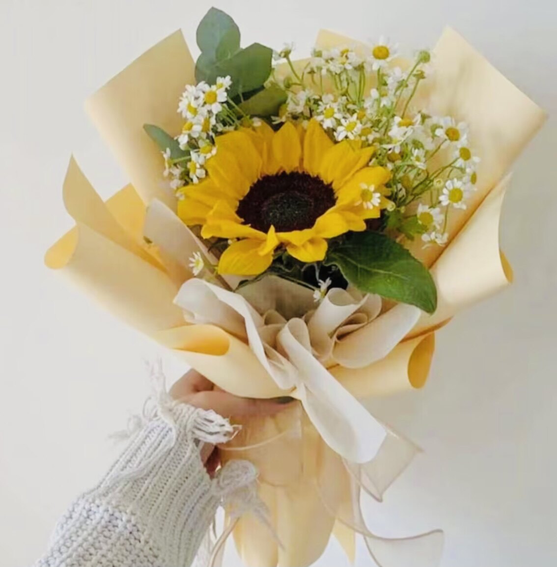 1朵向日葵小花束单枝真花鲜花送老师送朋友全国包邮重庆北碚花店