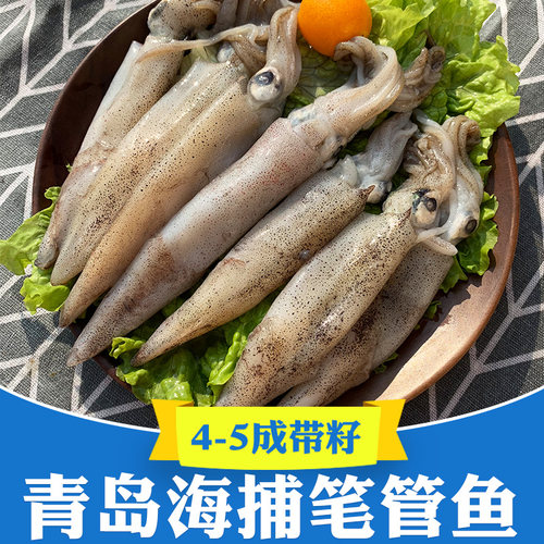 海兔笔管鱼新鲜冷冻乌带籽4-5成