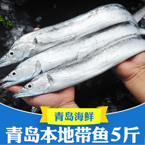 5斤条条精选青岛海捕小黑眼带鱼