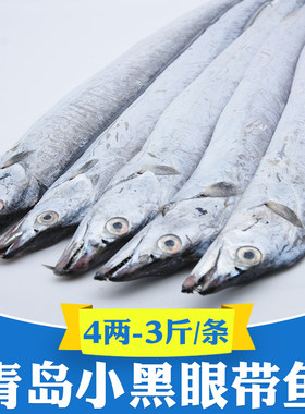 青岛海捕特大小眼带鱼3两-3斤/条