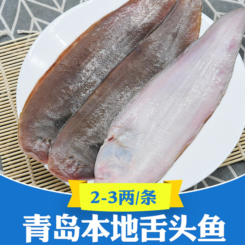 青岛舌头鱼海捕龙利鱼带皮大舌头鱼新鲜小踏板鱼牛舌鱼舌鳎鱼3斤