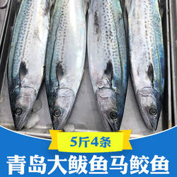 新鲜青岛大鲅鱼5斤燕鲅鱼马鲛鱼马交鱼海捕整条整箱海鲜鲜活冷冻