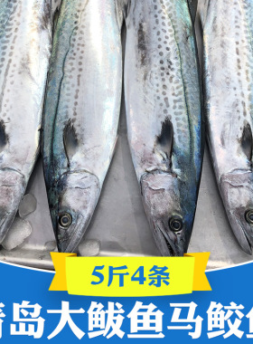 新鲜青岛大鲅鱼5斤燕鲅鱼马鲛鱼马交鱼海捕整条整箱海鲜鲜活冷冻