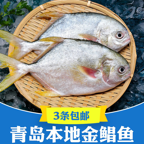 新货青岛海鲜鲜活速冻特大金鲳鱼