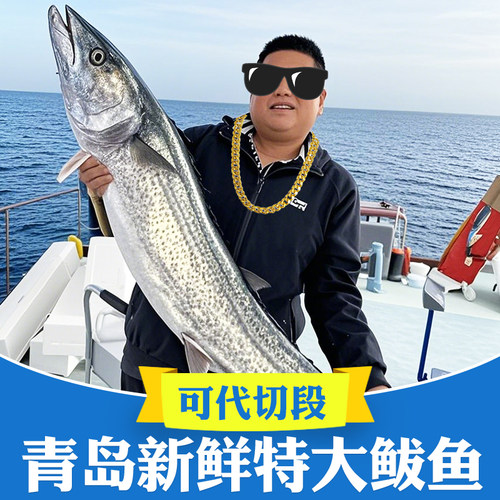 25斤内可选青岛特大鲅鱼马鲛鱼