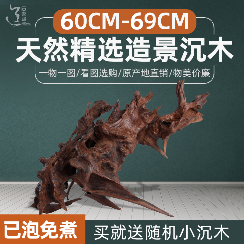 石木道实图60-69cm小号沉木水草鱼缸摆件花艺装饰造景木非杜鹃根