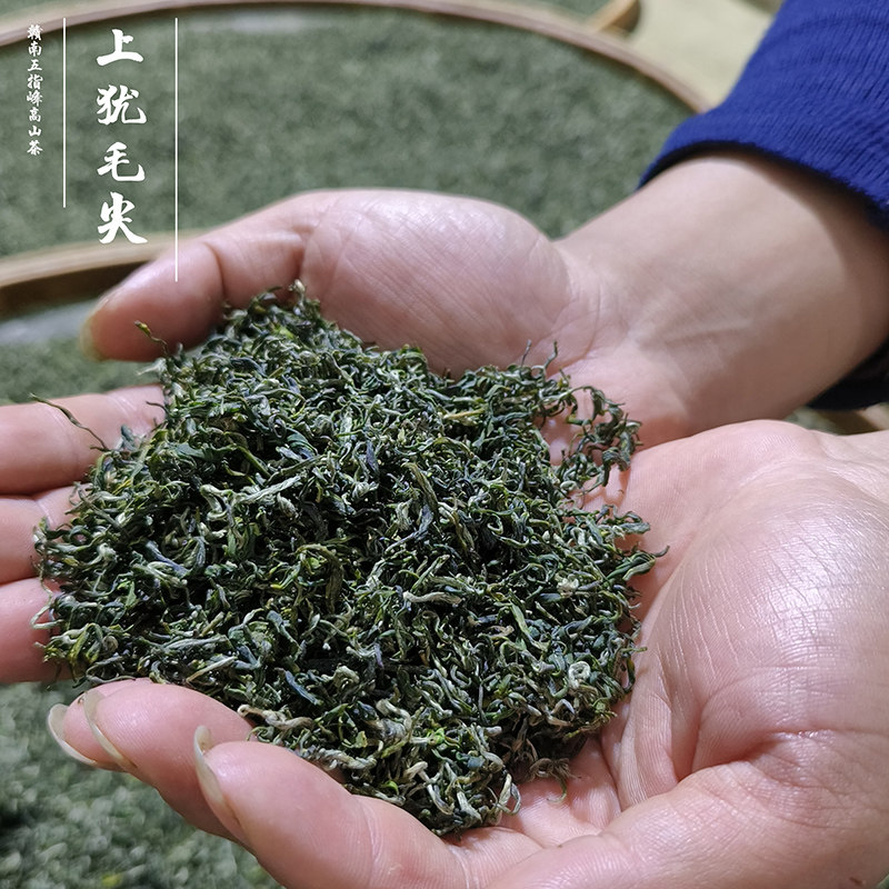江西赣南上犹上洞毛尖茶2024新茶叶五指峰高山云雾茶明前炒青2024