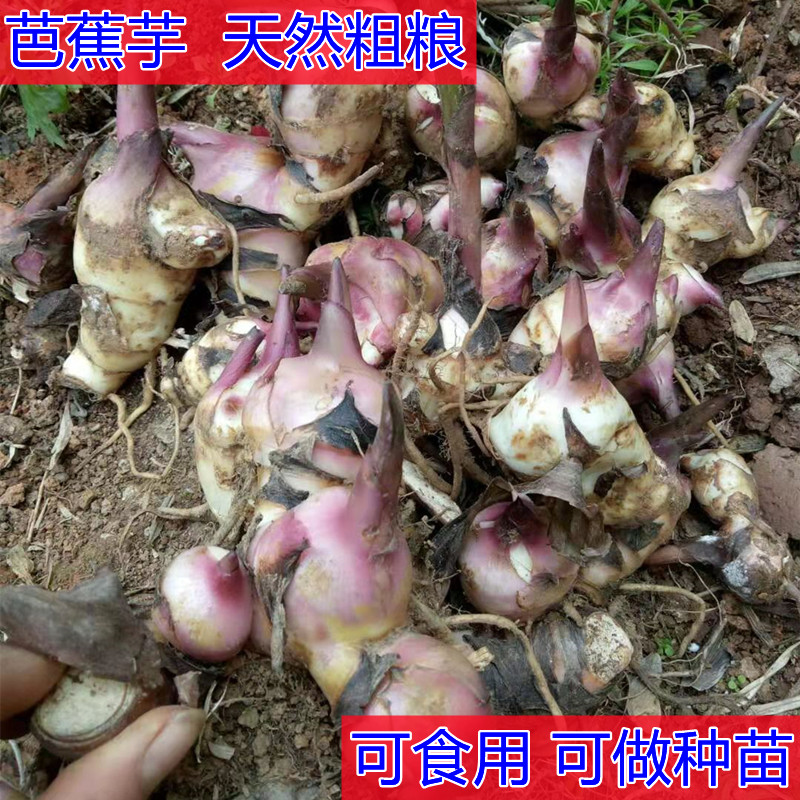 干鱼芭蕉芋头蕉芋儿美食
