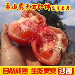 高山露天沙瓤西红柿老品种生吃番茄大果新鲜自熟拒绝催熟种植种植