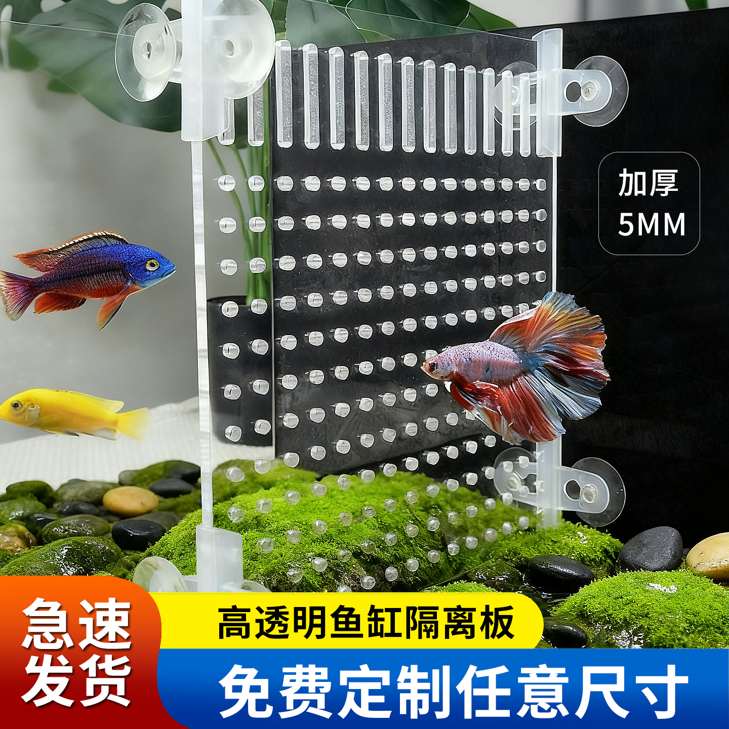 加厚亚克力鱼缸隔离板乌龟隔板隔断挡板水族箱分离板隔离网分隔板