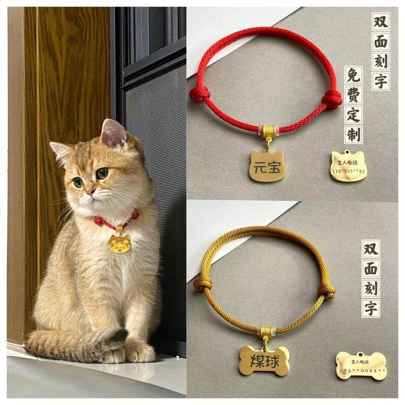 猫咪狗狗项圈可调节宠物防走丢牌猫咪项圈中小犬泰迪宠物饰品