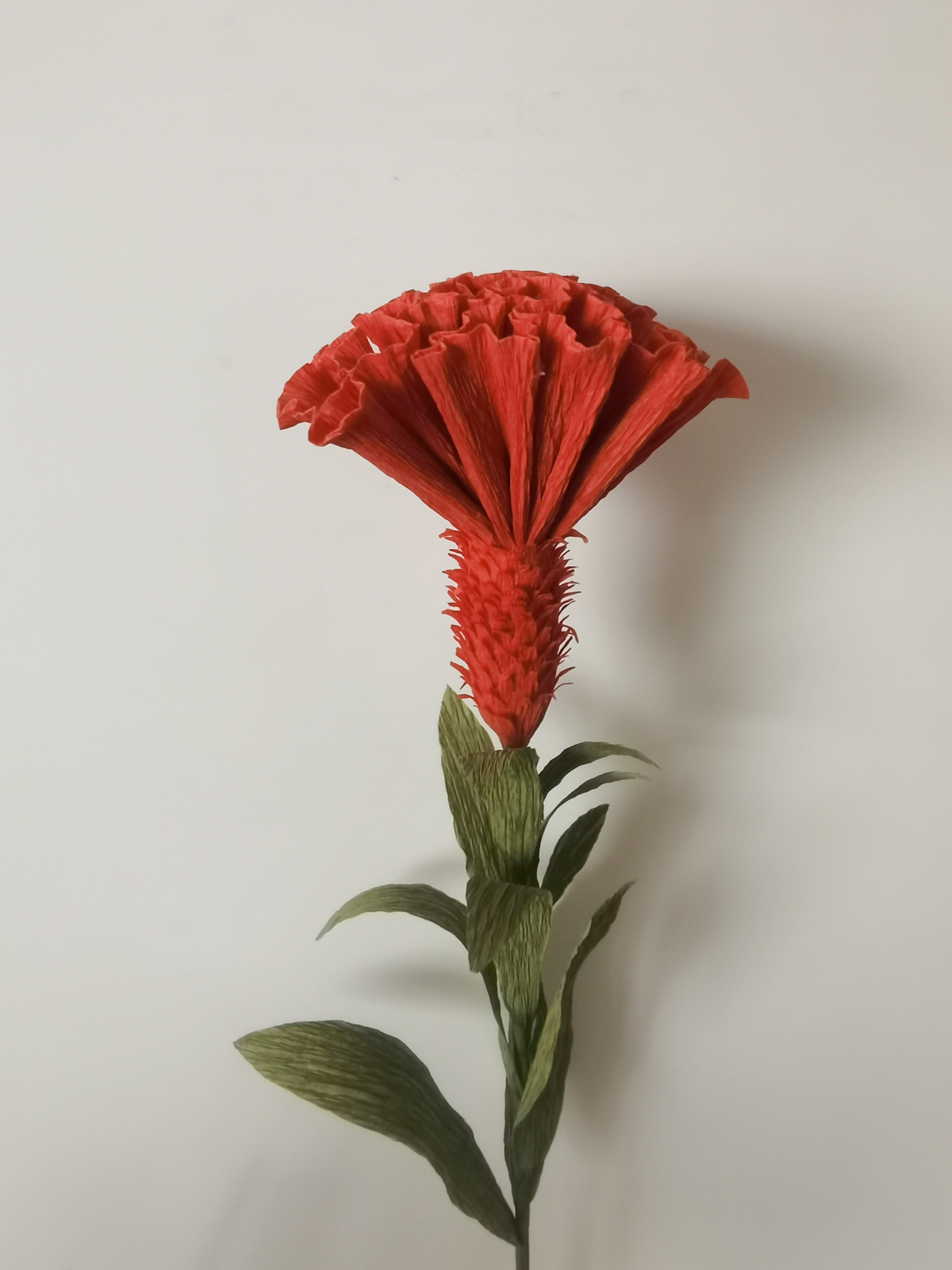 皱纹纸鸡冠花成品手工花diy手作花纸艺皱卷纸花手工课作业情人节