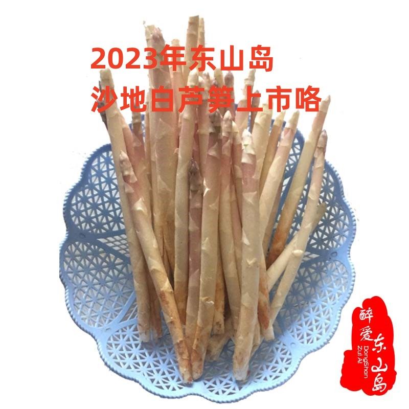 white asparagus东山岛沙地白芦笋 东山岛特产白芦笋500g
