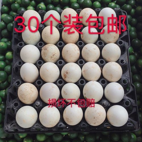 广西鸭仔个装小吃破损包邮活珠子