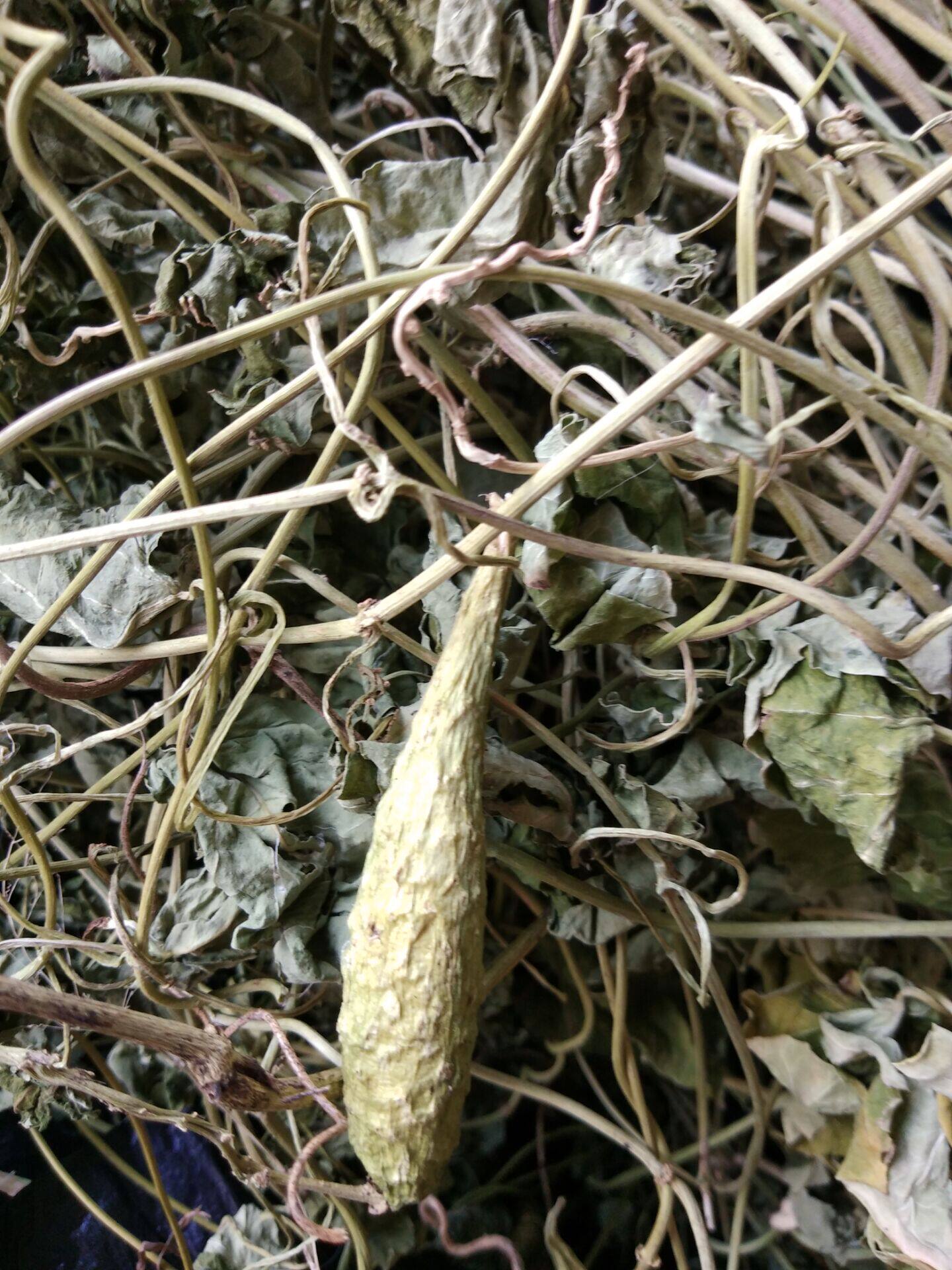 新晒干品 野生萝藦 天将壳,飞来鹤,赖瓜瓢 荷瓢瓢 奶浆藤奶浆草