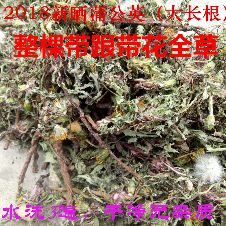 蒲公英野生新鲜婆婆丁500g包邮