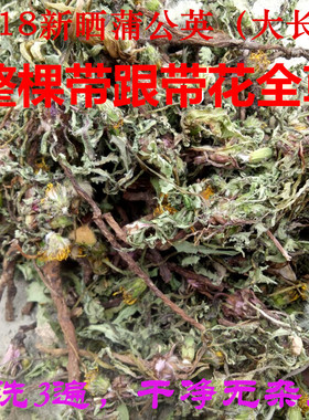 蒲公英野生新鲜婆婆丁500g包邮