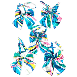 浙江农信临安农商银行企业女士职业丝巾条纹双层领花制服蝴蝶领结