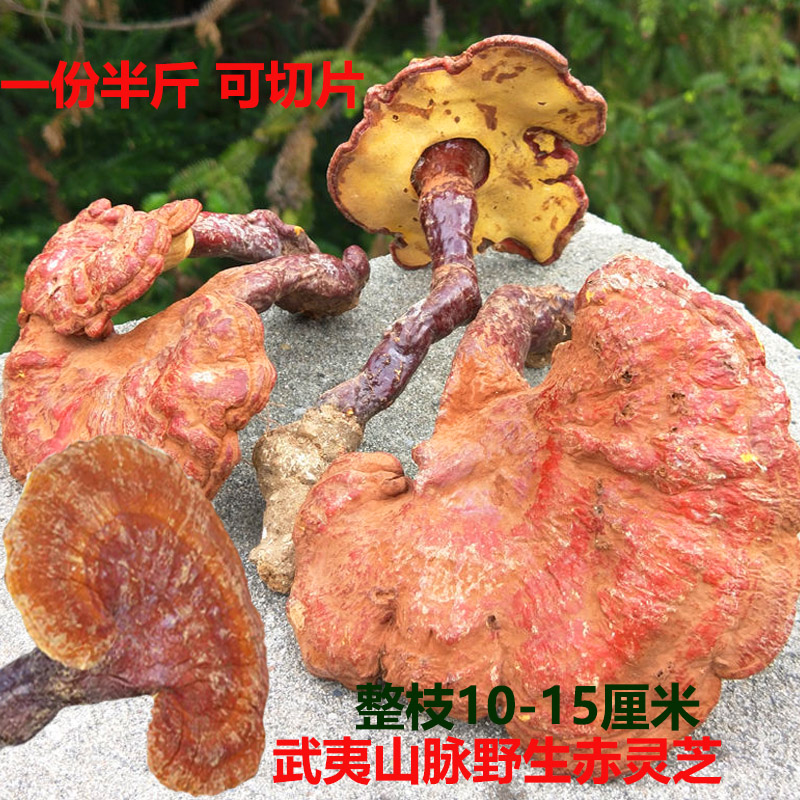 赣南野生赤灵芝纯野生整枝黑灵芝可切片打粉泡酒整朵天然整株林芝