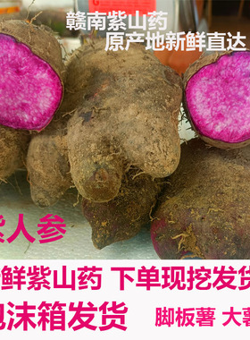新鲜现挖脚板薯参薯香芋紫毛薯紫色山药淮山紫大薯5斤天根薯蓣