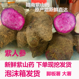 新鲜现挖脚板薯参薯香芋紫毛薯紫色山药淮山紫大薯5斤天根薯蓣