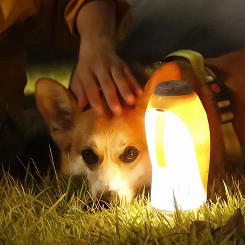 宠物随行杯便携折叠夜光灯水瓶