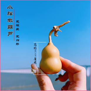 天然葫芦聊城野生种植文玩挂件亚腰葫芦龙头镶嵌带藤葫手捻盘吊坠