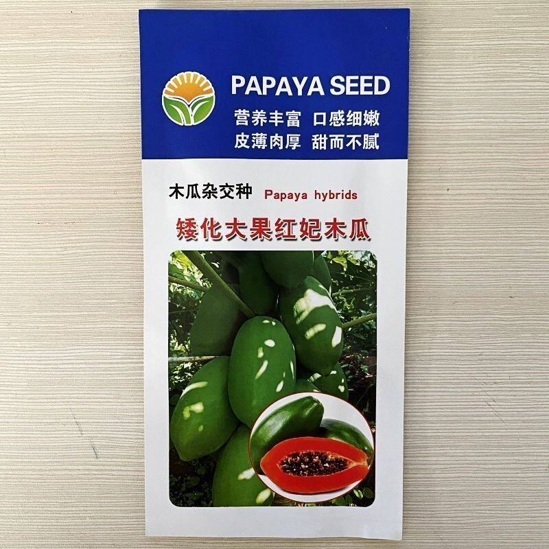 矮生型木瓜种子水果红肉木瓜种子早熟台湾红妃红心木瓜种籽100粒