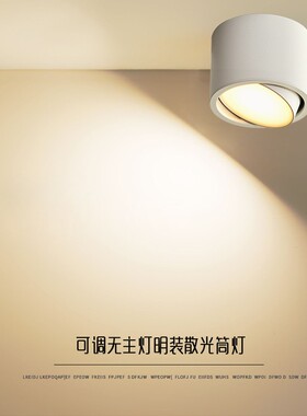 led吸顶散光圆形明装可调筒灯走廊免开孔家用酒店过道个性创意灯