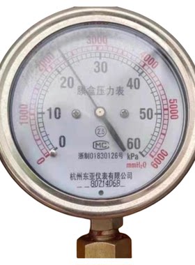 Y60E天燃气压力表膜盒压力表杭州东亚仪表有限公司螺纹14X1.5