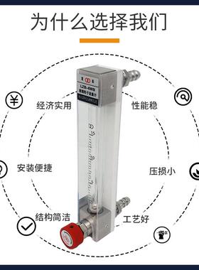 常州双环热工仪表LZB-6WB LZB-6WBF玻璃转子流量计空气水流量计