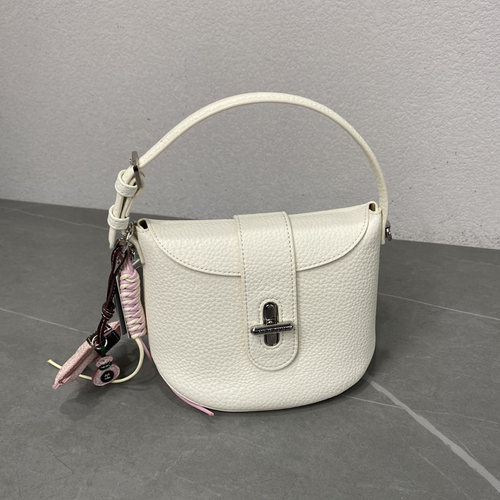 荔枝纹新款时尚手提饺子包高级感