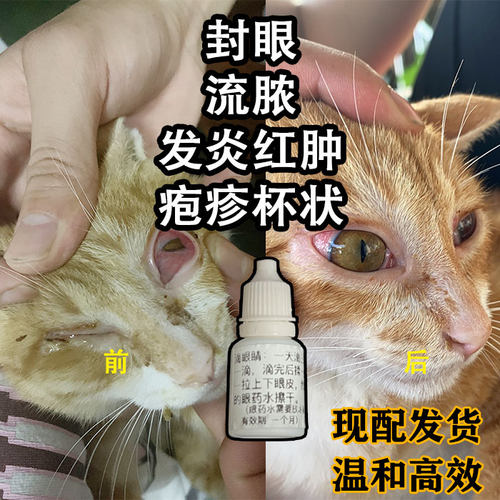 猫咪眼药水狗狗用流泪流脓宠物发炎结膜炎滴眼液鼻支疱疹滴鼻液